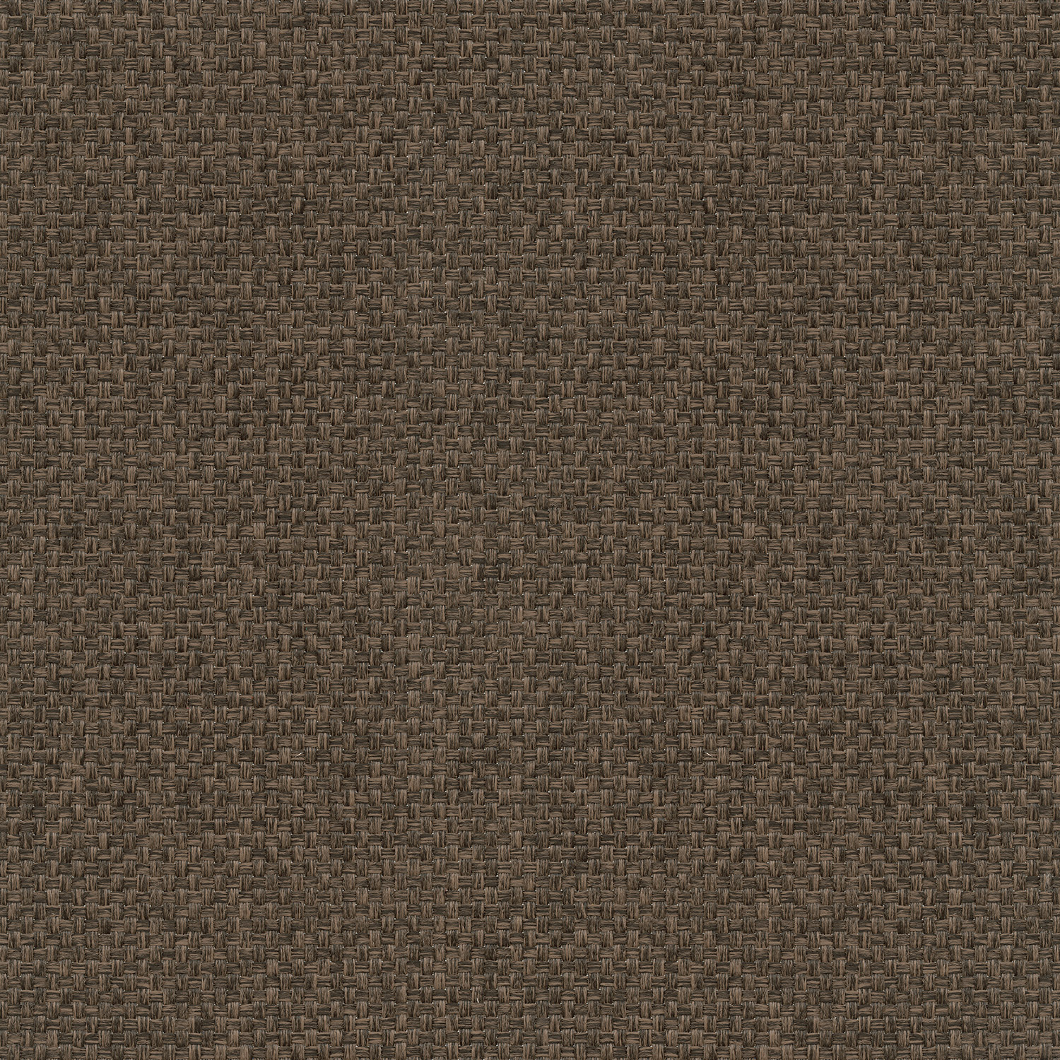 In4403 Brown